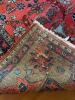 Oriental Wool Rug - 4
