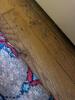 Oriental Wool Rug - 15