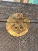 Carved Wood and Woven Trunk with Brass Hardware - 7