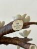 Andrea by Sadek Blue Bird Porcelain Figurine - 4