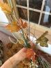 Assorted Dried and Artificial Floral Stems - 3