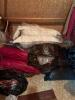 Large Assorted Bedding Linens, Pillows and More