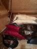 Large Assorted Bedding Linens, Pillows and More - 2