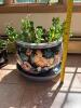 Chinese Floral Ceramic Planter with Live Plant - 7