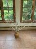 Ceramic Textured Vase with White Decorative Branches