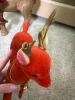 Paper Mache and Flocked Reindeer Figures - Set of Two - 4