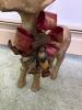 Paper Mache and Flocked Reindeer Figures - Set of Two - 7