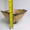 Bay Laurel Burl Natural Edge Wood Bowl, Signed Jacques Blumer - 3
