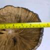 Bay Laurel Burl Natural Edge Wood Bowl, Signed Jacques Blumer - 4