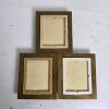 Set of Three Framed Miniature Floral Canvas Art Pieces - 2