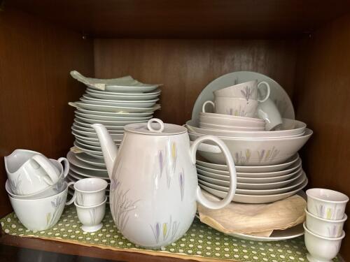 Johann Haviland Bavaria China Dinnerware Set
