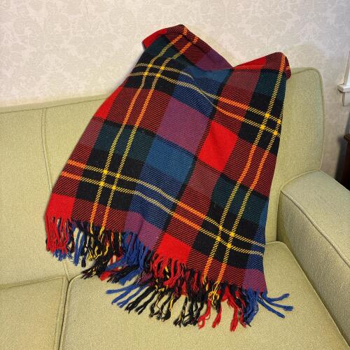Plaid Fringed Throw Blanket