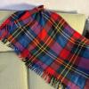 Plaid Fringed Throw Blanket - 2