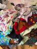 Assorted Women's Fashion Scarves - 2