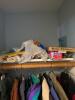 Hall Closet Lot - 4