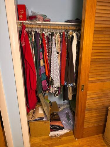 Clothing Pickers Lot- Closet 1