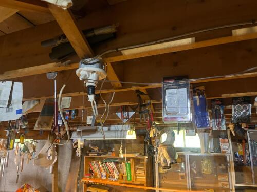 Ceiling Pickers Lot