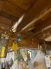 Ceiling Pickers Lot - 10