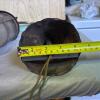 Rustic Metal and Glass Outdoor Lantern Light - 6
