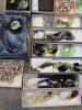 Assorted Costume Jewelry Necklaces and Accessories - 2