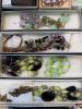 Assorted Costume Jewelry Necklaces and Accessories - 7
