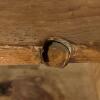 Wooden Bookcase - 5