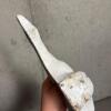 White Cast Iron Goose Doorstop - 3