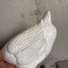 White Cast Iron Goose Doorstop - 5