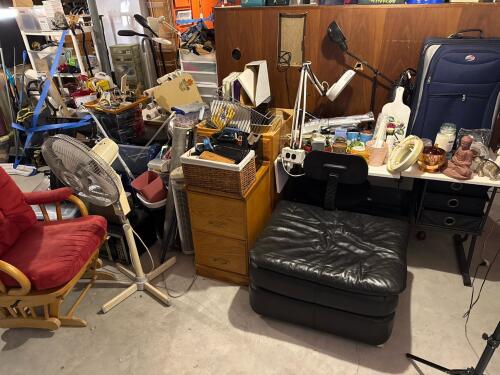 Mystery Basement Picker's Lot