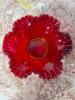 Cranberry Red Ruffled Glass Bowl With Rose Pattern - 2