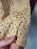 Golden Juniors Eyelet Lace Dress with Blue Velvet Ribbon - 5