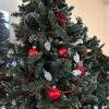 Trio of Artificial Tabletop Christmas Trees - 2