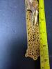 Gallo Co. NY Gold-Tone Filigree Crucifix Cross - 5