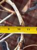Metal Plant Stands - 5