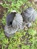 Lawn Statue Lot, As Is Condition - 9