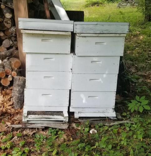 Wooden Beehives in Traditional Langstroth Style