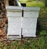 Wooden Beehives in Traditional Langstroth Style