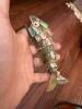 Tiny Treasures Collection - 5