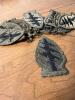 Eighteen US Army Special Forces Patches