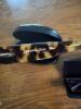 Three Designer Women's Eyeglasses and Sunglasses: Prada, Vogue, Eyebobs - 6