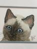 Signed and Framed Cat Portrait - 2