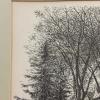 Thompson Hall UNH 1974 Wall Art, 17"x13" - 2