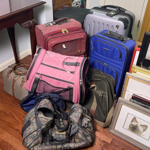 Assorted Suitcases and Travel Bags Lot