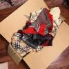 Assorted Scarves, Wraps, And Accessories