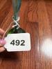 Glass Flower Pen with Green Stand - 5