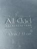 All-Clad Essentials 8.5" Nonstick Fry Pan With Stainless Handle - 6