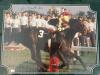 Framed Seattle Slew 1977 Triple Crown Photo Signed by Jean Cruguet 27&rdquo; x 23&rdquo;t With COA - 5