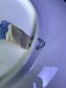 Villeroy & Boch Dutch Windmill Scene Blue Transferware Plate - 7