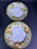 Imperial Crown China Austrian Hand-Painted Fruit & Floral Plates - 5