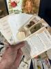Large Ephemera Victorian Advertising Trade Cards Lot - 9